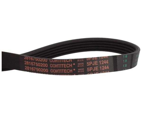 2816750200 Correa Poly-V elástica