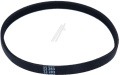 491500303 Correa Poly V